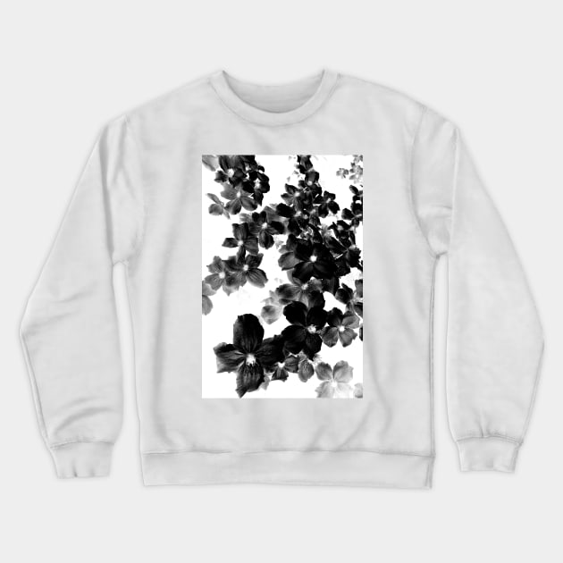 Designer 103365 x37 Crewneck Sweatshirt by CGJohnson